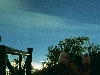citynight.jpg